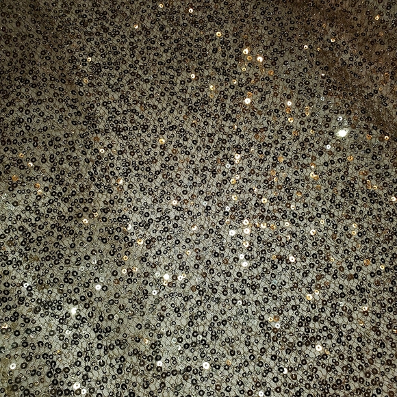 J. CREW | Silk and Sequin Tank - Picture 3 of 5